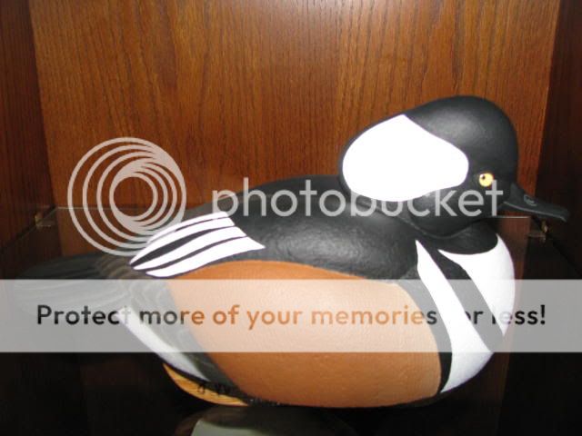 001-1.jpg