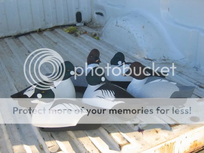decoysandducks00123-1.jpg