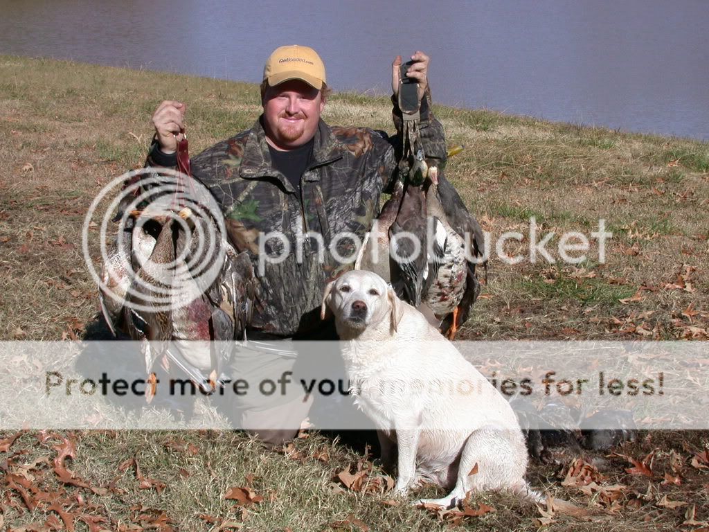 Arkansas006.jpg