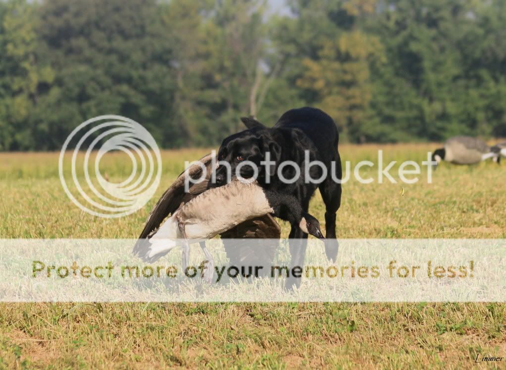IMG_6618edit.jpg