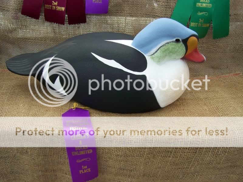 CtDUfest052.jpg