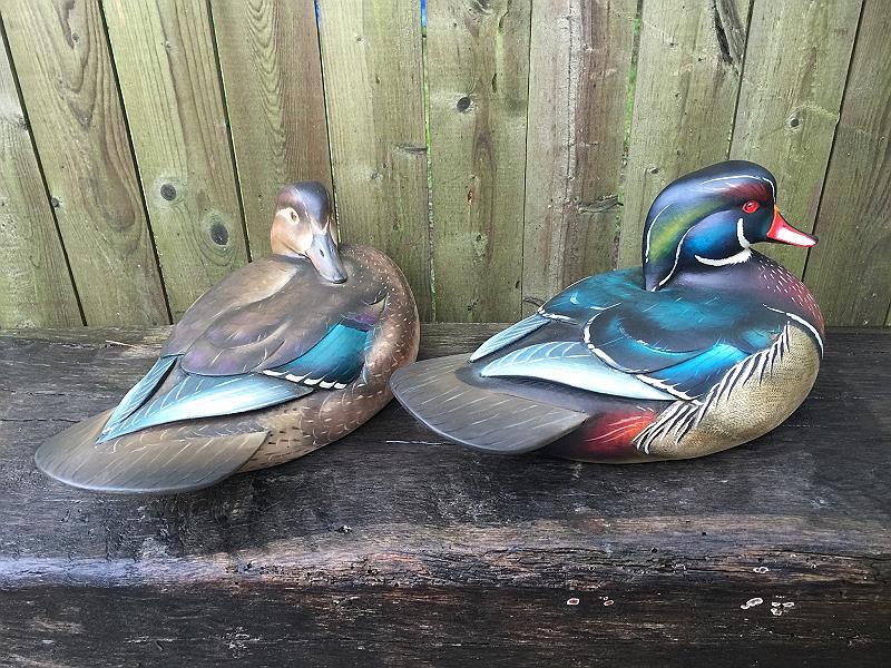 woodducks2015.jpg