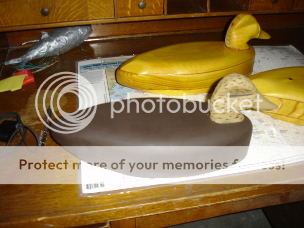 DSC05098.jpg