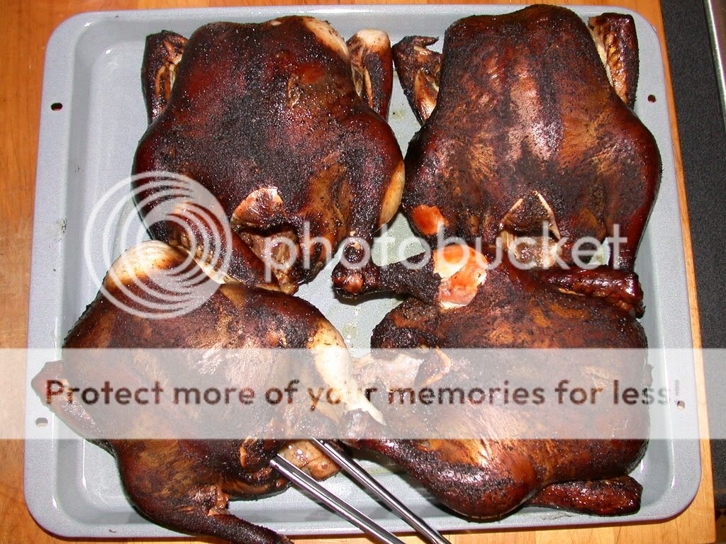 ImportedPhotos00252.jpg