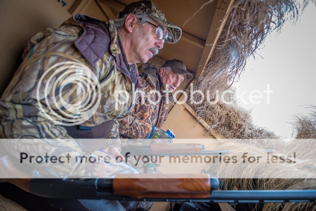 IslandOutdoorsMediaTM-4_zpszq3itw5q.jpeg