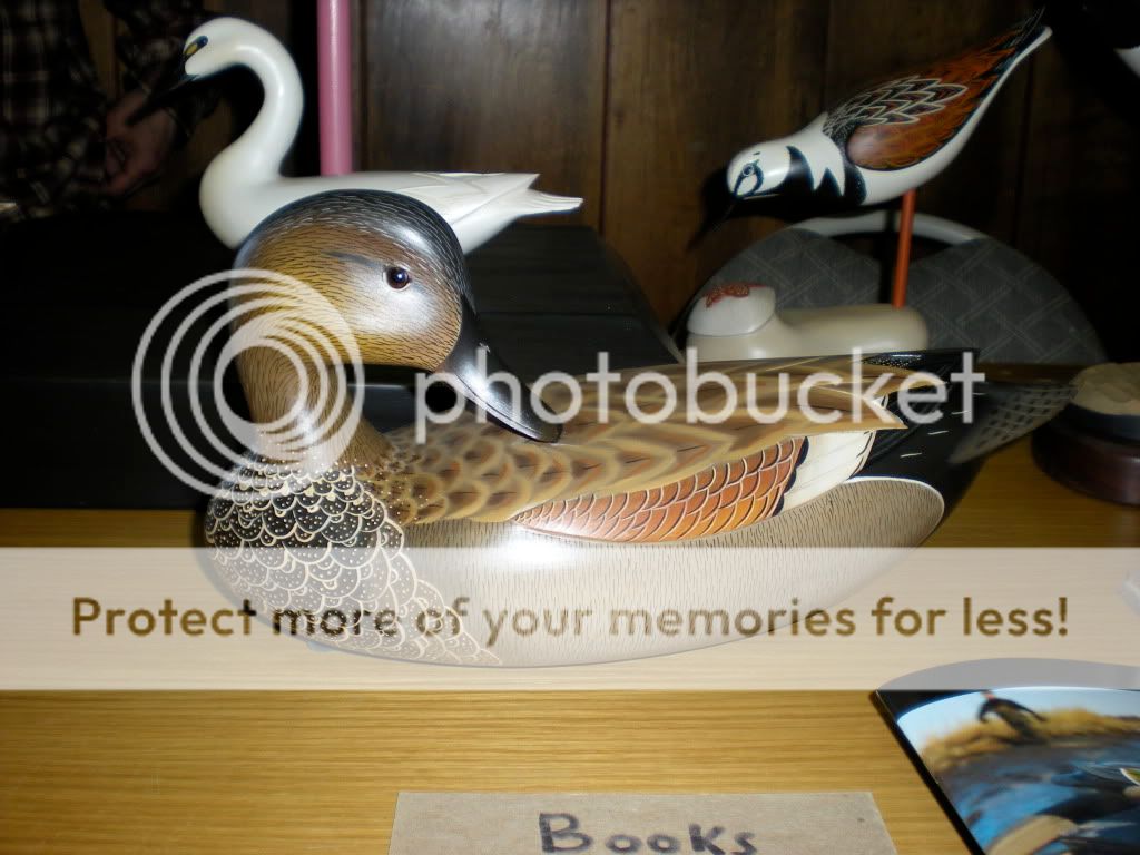 DSCN0544.jpg