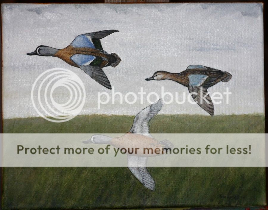 bluewings_zps67976407.jpg