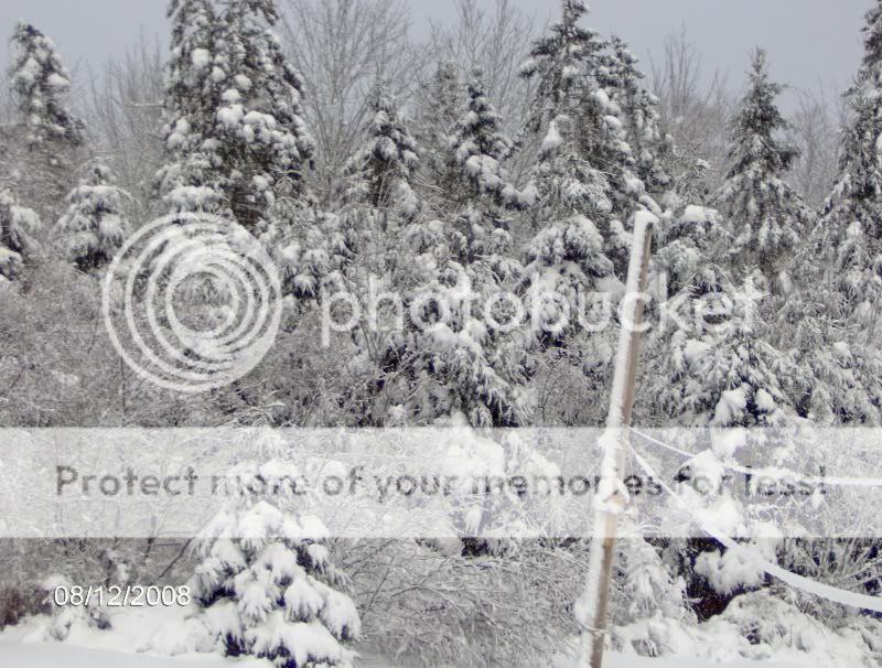 08decsnowstorm005.jpg