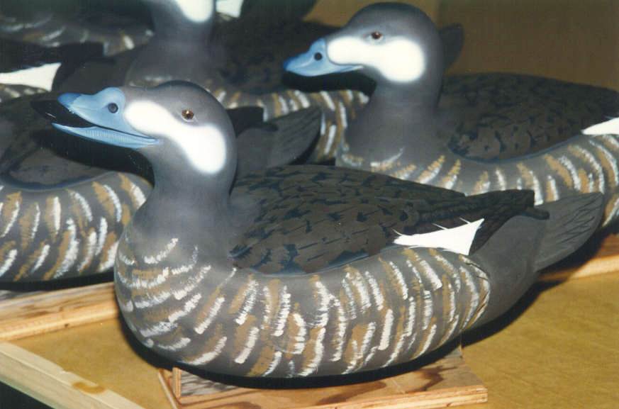 Rig-Scoter-WW-H-001.jpg