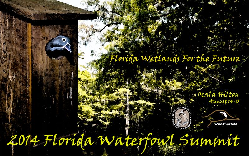 2014-Florida-Waterfowl-Summit-Banner_small.jpg