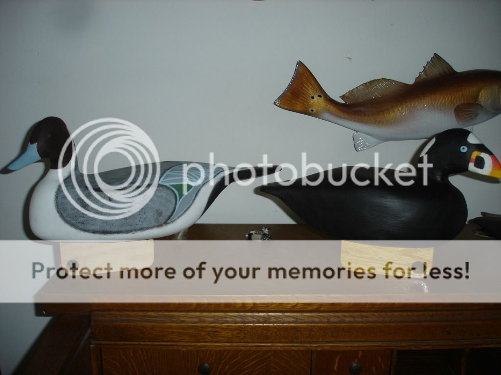 DSC05102.jpg