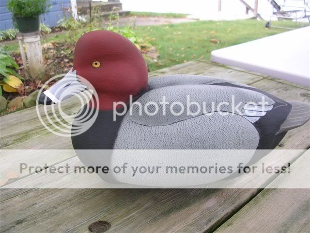 DSCN5389.jpg
