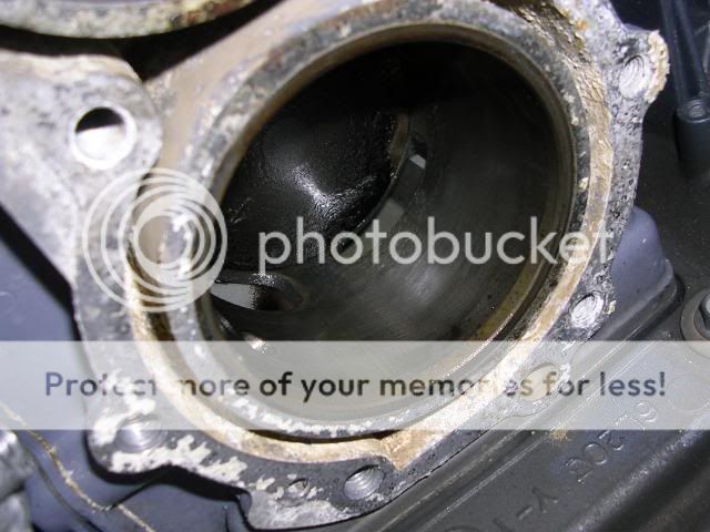 DSCN2932_zps11ac526f.jpg