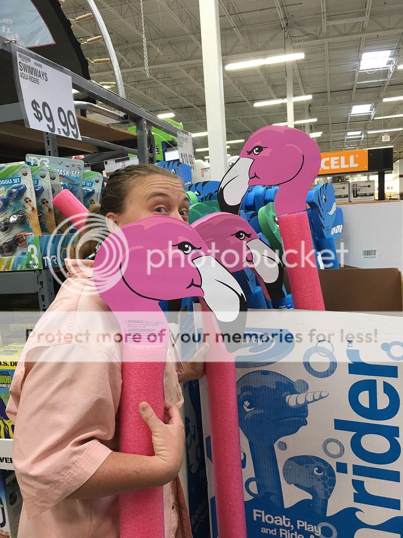 picklehead_zpsbzwpjgch.jpg