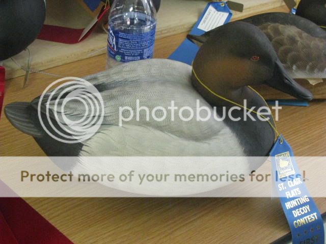 aug2011113.jpg