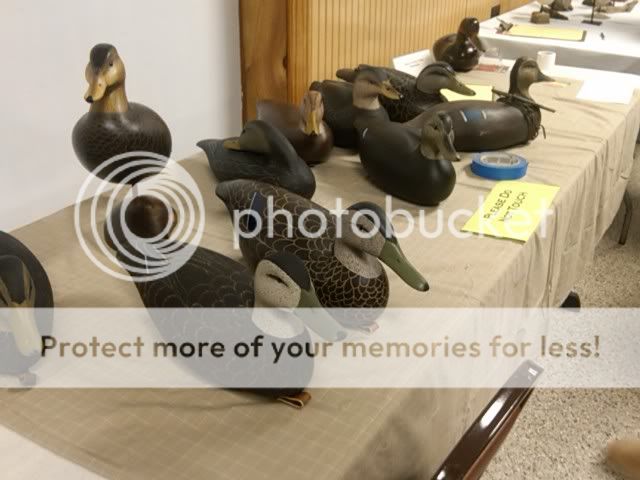 ParkertownBlackDucksTable.jpg