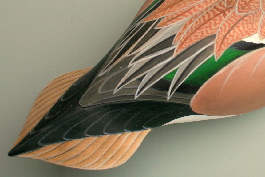 WoodsWigeon-primarydetail_zpse6d3df36.jpg