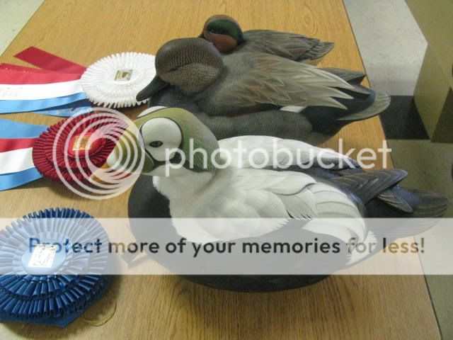 aug2011105.jpg