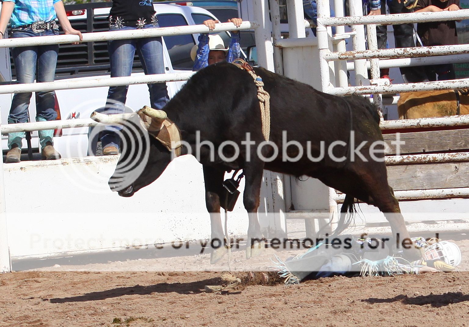 IMG_6348.jpg