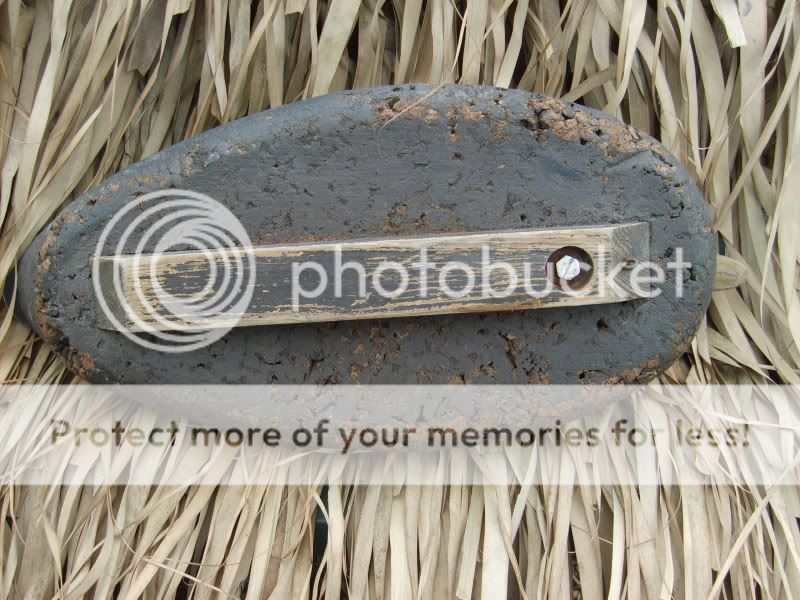 SD531055.jpg