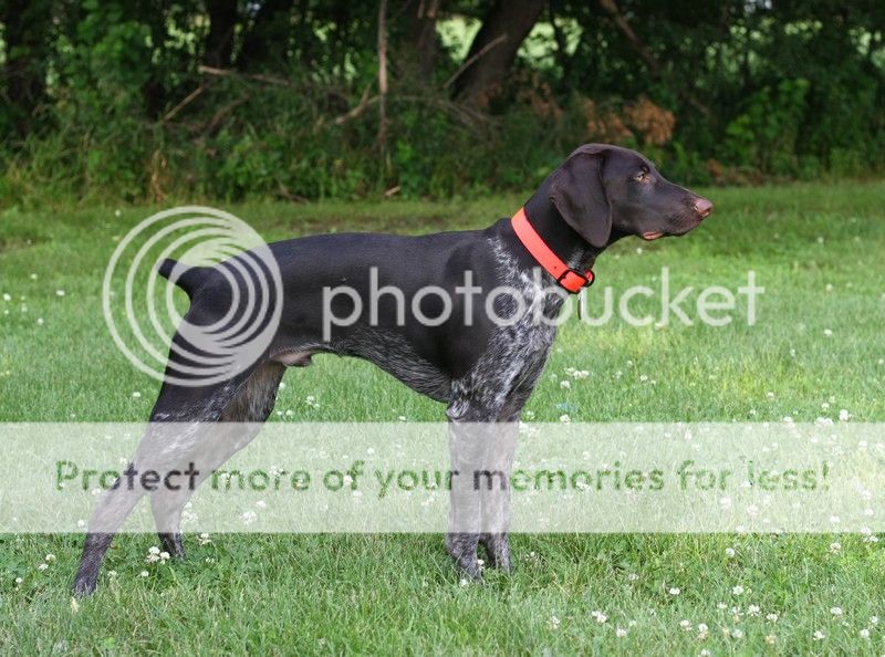 deuce6months2_zps882f8b7f.jpg