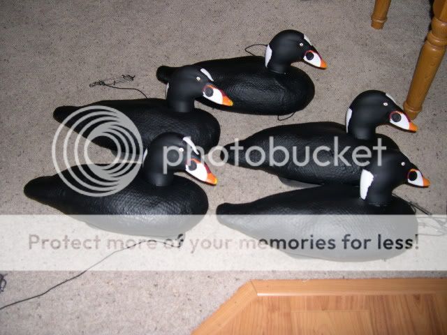 DSCN1963.jpg
