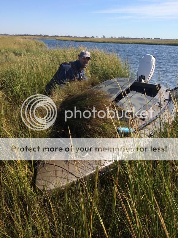 IMG_0534_zps175b296b.jpg