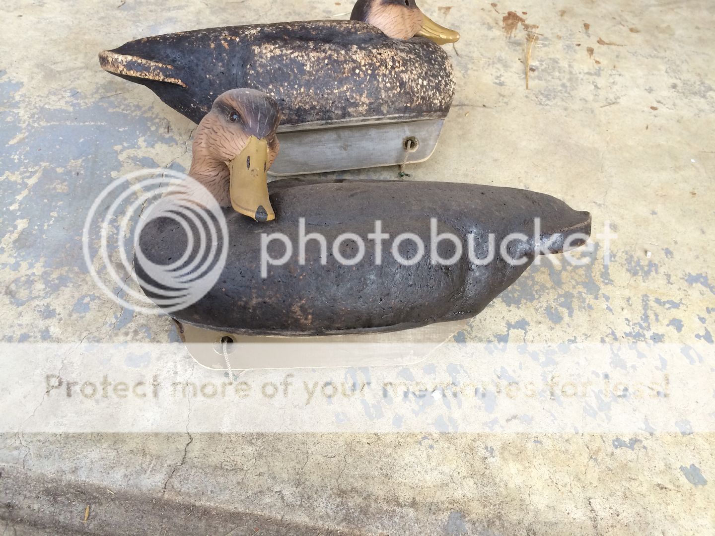 PhotoDec1175915AM.jpg