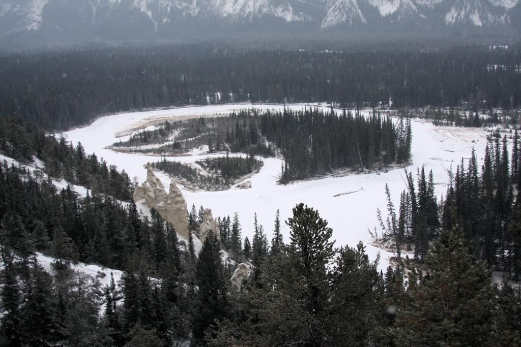 BanffJan232010333-2.jpg