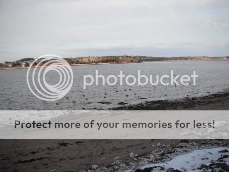 CrushedIcetour2013001.jpg
