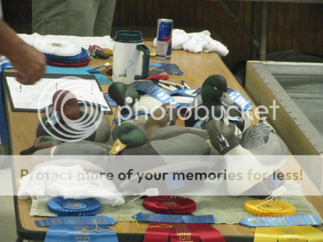 aug2011109-1.jpg