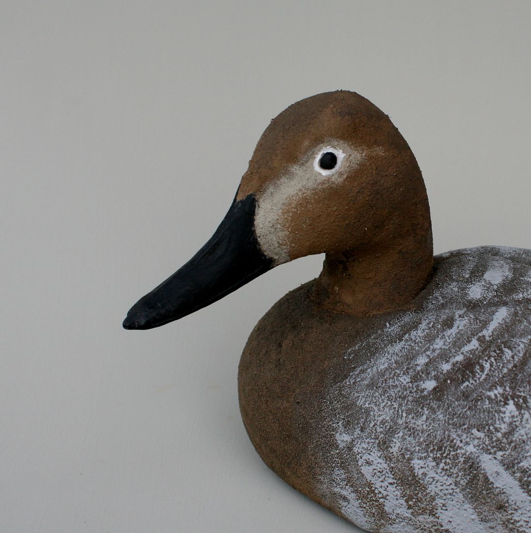 Model%2072%20Canvasback%20Hen%20-%20Closeup_zps6bz1m30e.jpg