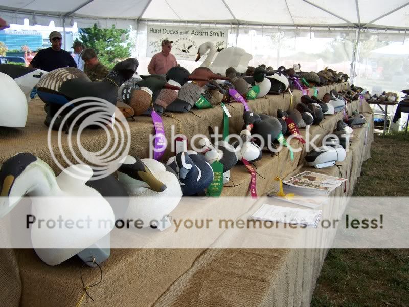 CtDUfest050.jpg