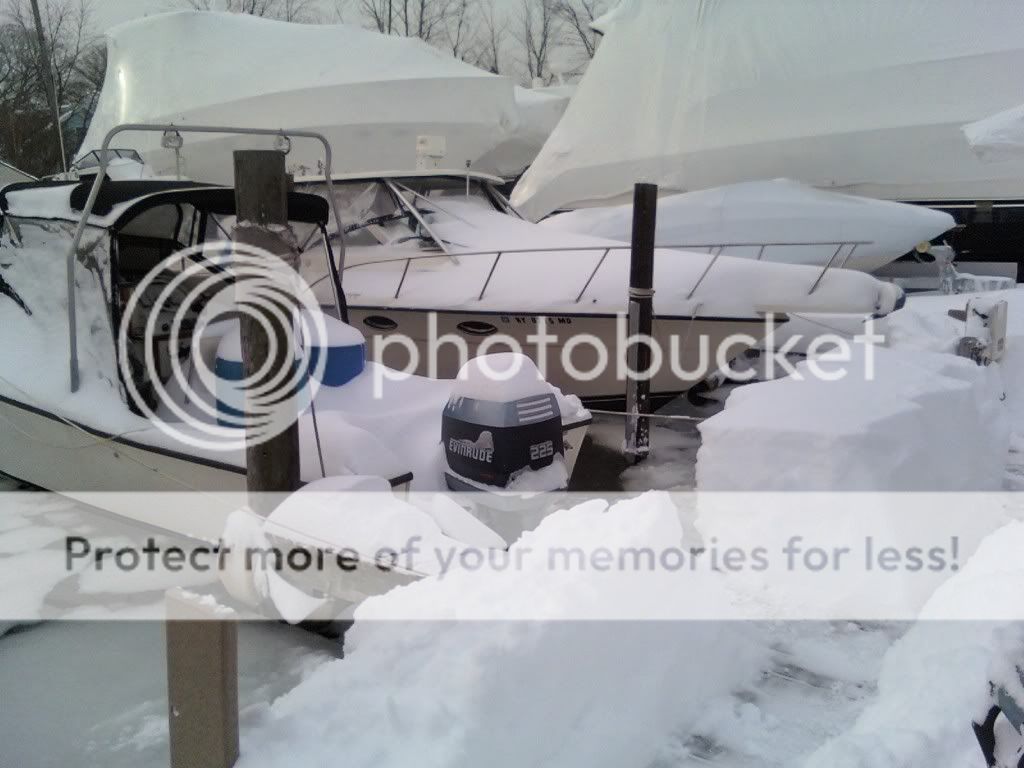 Makofiledwithsnow2.jpg