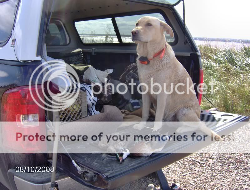 2008duckseasonpics009.jpg