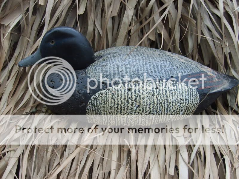 SD531052.jpg