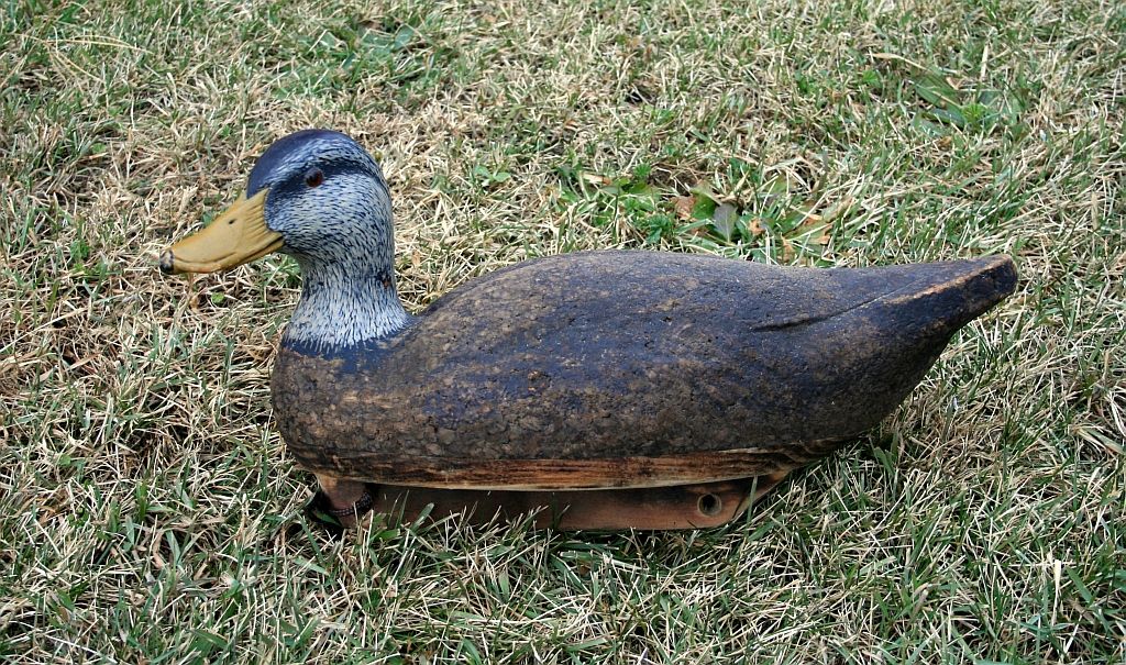 PendergastBlackDuck001small_zpsaf72f196.jpg