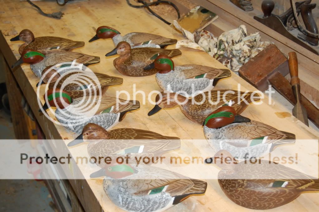 ducksforfebruary003.jpg