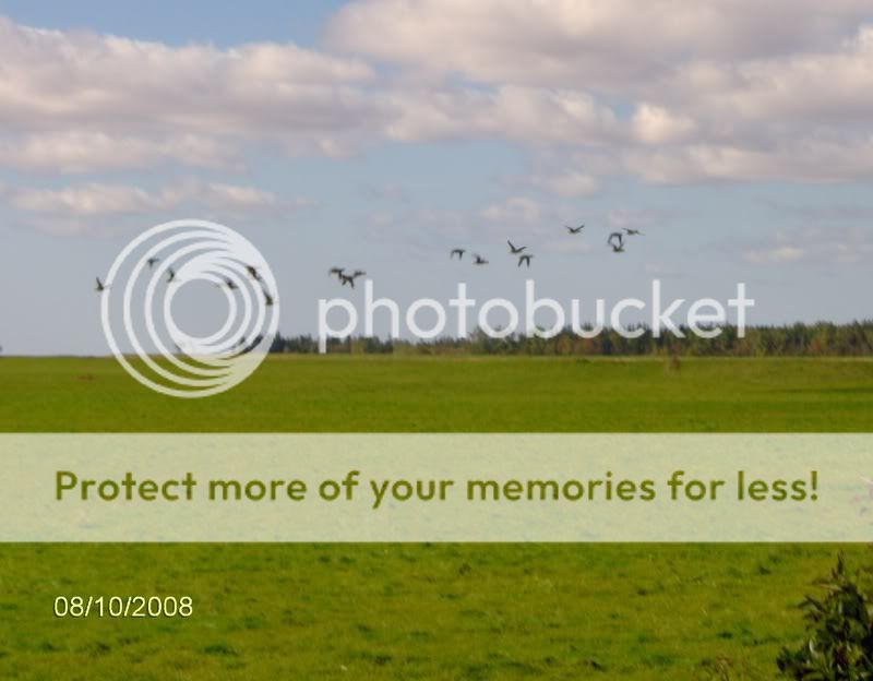 2008duckseasonpics012.jpg