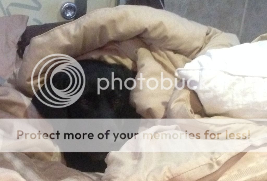 photo2_zps6iqdx0mt.jpg