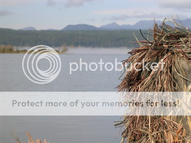 DSCN2184.jpg