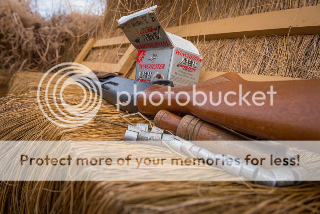 IslandOutdoorsMediaTM-14_zps6x1iqenl.jpg