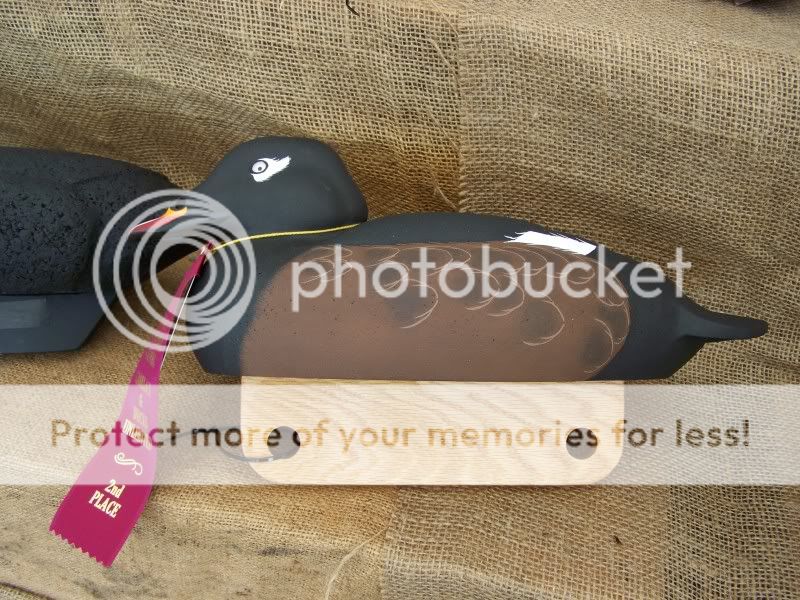 CtDUfest055.jpg