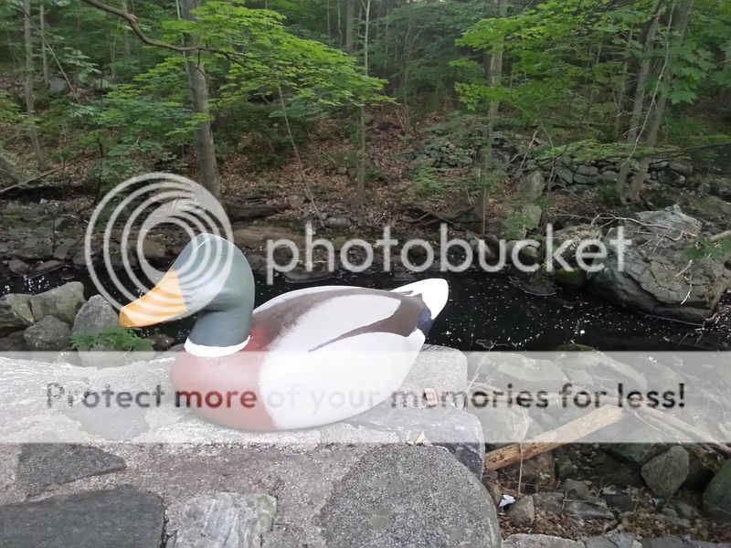 20160616_195012_LLS.jpg