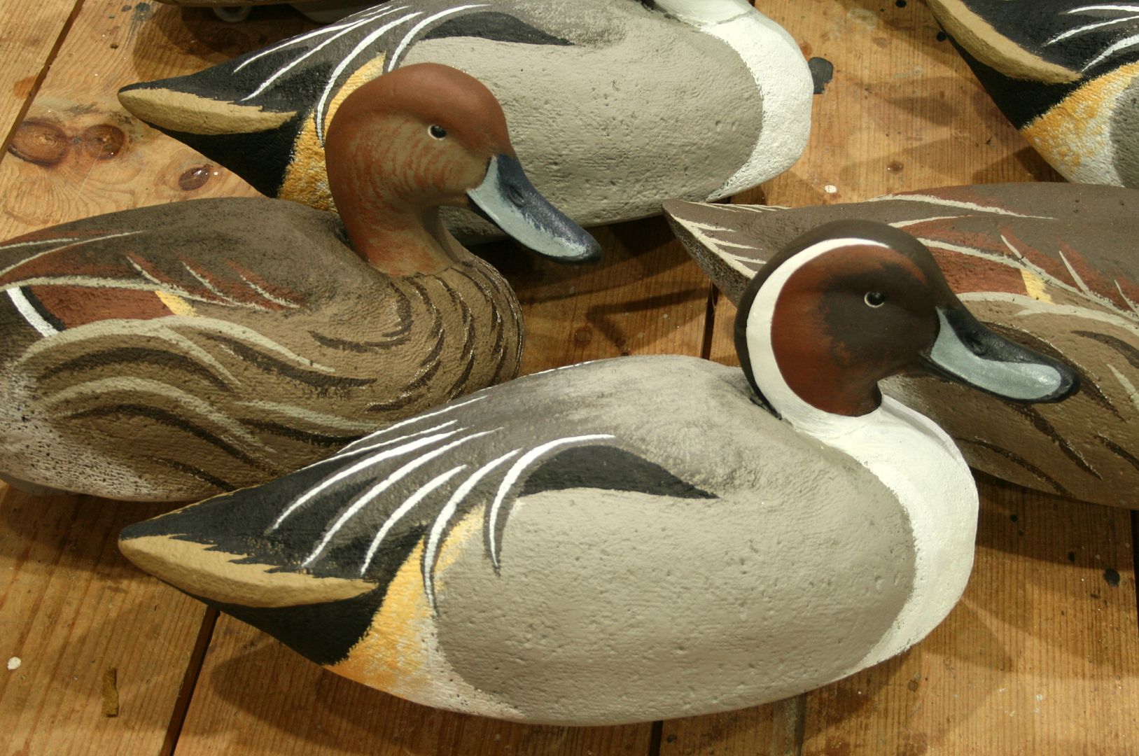 Chesapeake%20Pintail%20Drake%2002_zpsyv8dd0qv.jpg