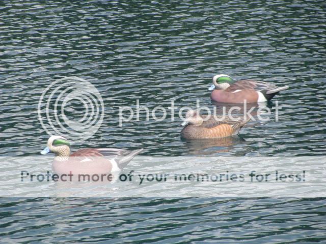 aug2011097.jpg