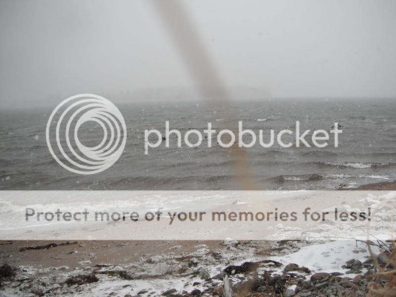 CrushedIcetour2013002.jpg