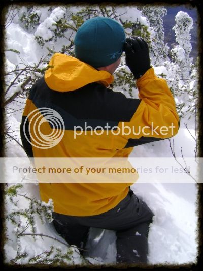 DSC03807_zps9c72a675.jpg