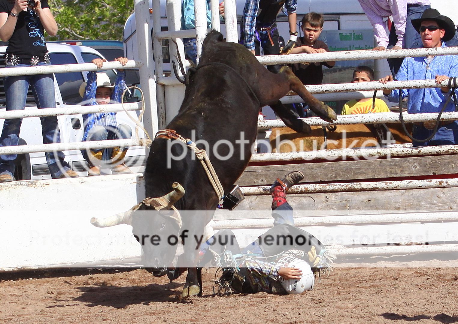 IMG_6345.jpg