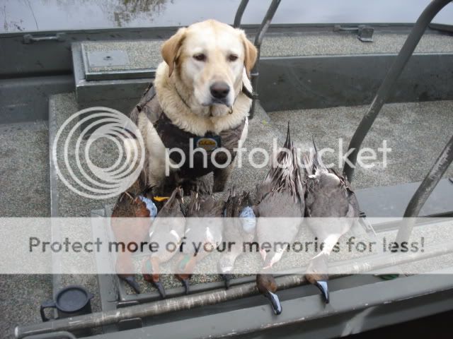 DSC02104.jpg